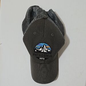 Patagonia Fitz Roy Trucker Mesh Back Cap